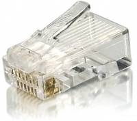 Transparenter Kunststoff-Ethernet-Kabelstecker mit Metallkontakten und Verriegelungslasche