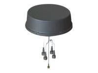 Cisco - Antenne - 5 dBi (for 2.4 - 2.5 GHz), 6 dBi (für 4,9 - 5,875 GHz)