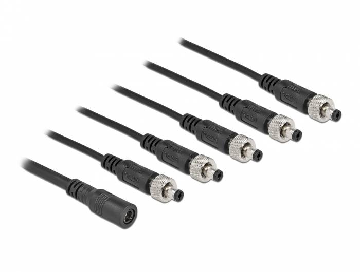 Delock - Netz-Splitter - Gleichstromstecker 5,5 x 2,1 mm (W)