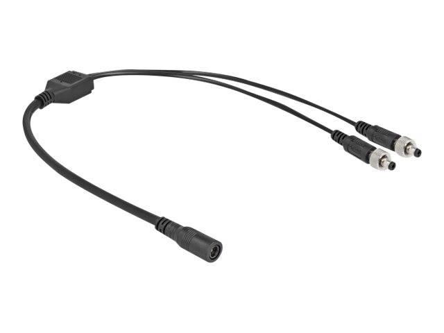 Delock - Netz-Splitter - Gleichstromstecker 5,5 x 2,1 mm (W)