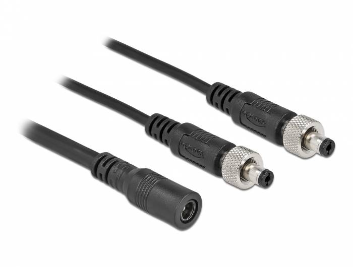 Delock - Netz-Splitter - Gleichstromstecker 5,5 x 2,1 mm (W)