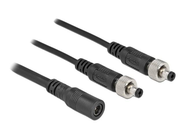 Delock - Netz-Splitter - Gleichstromstecker 5,5 x 2,1 mm (W)