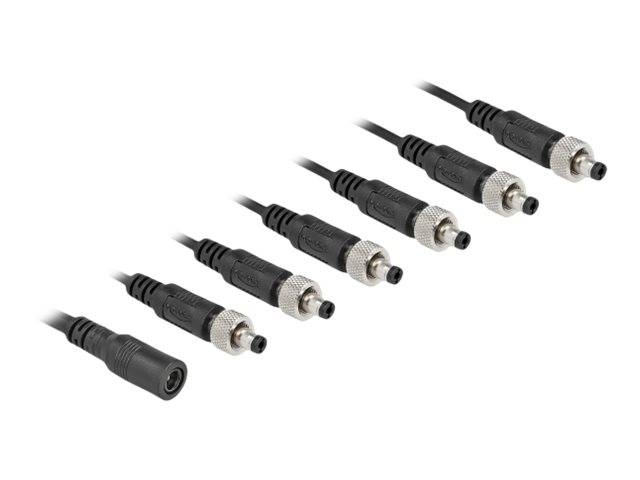 Delock - Netz-Splitter - Gleichstromstecker 5,5 x 2,1 mm (W)