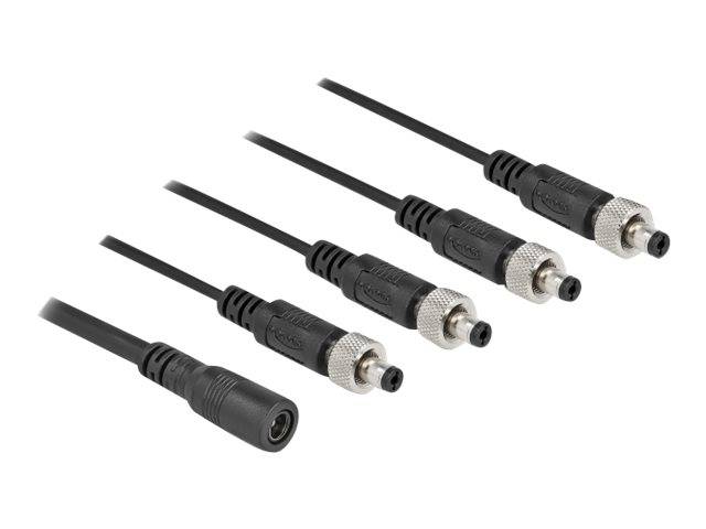 Delock - Netz-Splitter - Gleichstromstecker 5,5 x 2,1 mm (W)
