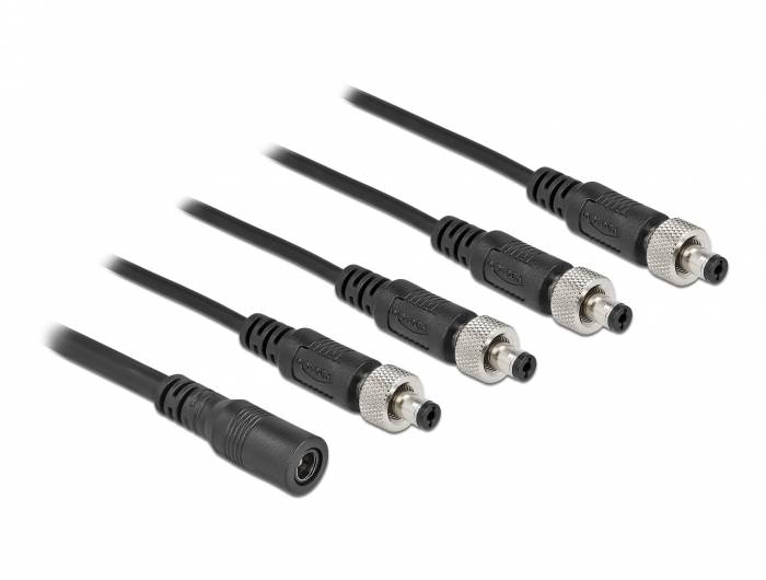 Delock - Netz-Splitter - Gleichstromstecker 5,5 x 2,1 mm (W)