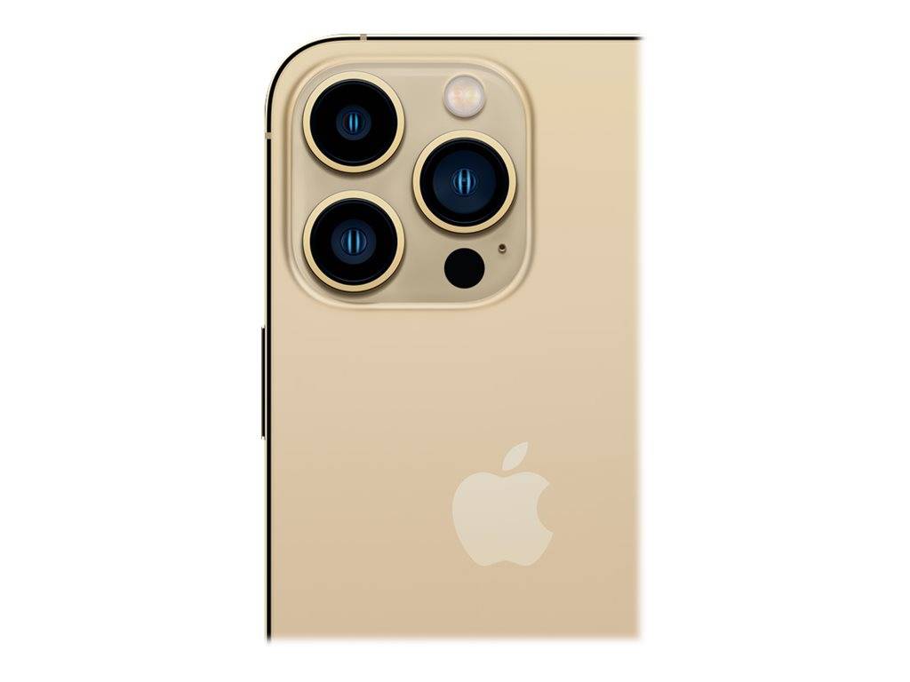 Apple iPhone 13 Pro - 5G Smartphone - Dual-SIM - 512 GB - OLED-Display - 6.1" - 2532 x 1170 Pixel (120 Hz)