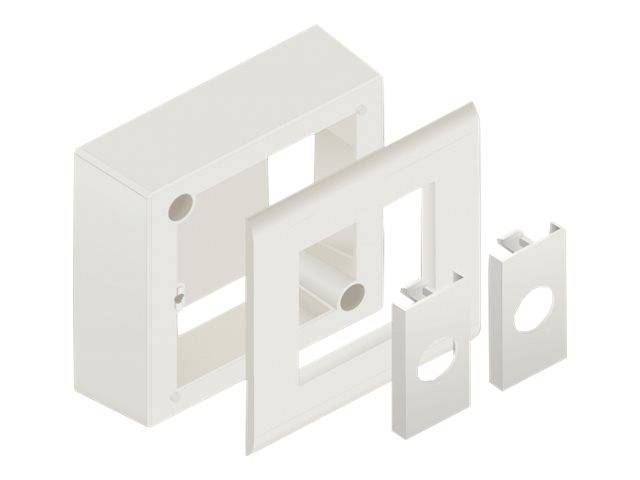 Delock - Easy 45 - Aufputzbox - 2 Module - weiß