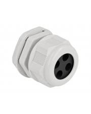 Delock PG29 - Kabelverschraubung - Grau (Packung mit 2) - Cable Gland PG29 for r