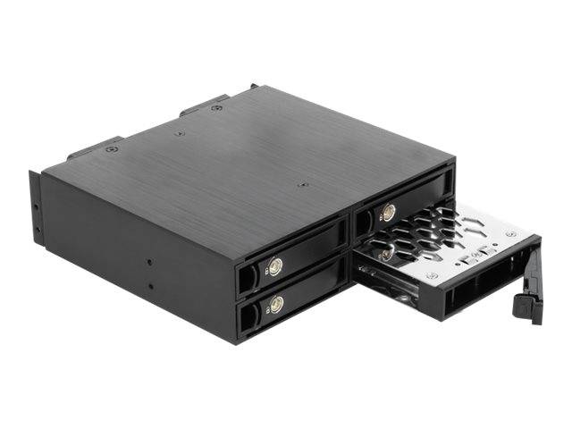 Delock - Mobiles Speicher-Rack - 2.5" (6.4 cm)