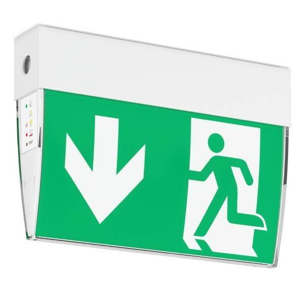 „Grünes Notausgangsschild mit einer laufenden Figur und einem nach unten weisenden Pfeil, der die Richtung zum nächstgelegenen Ausgang anzeigt.