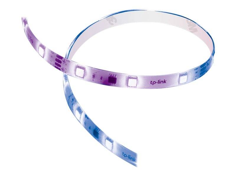 Violettes und blaues TP-Link-Ethernet-Kabel, das in einer Schleife auf weißem Hintergrund aufgerollt dargestellt wird.