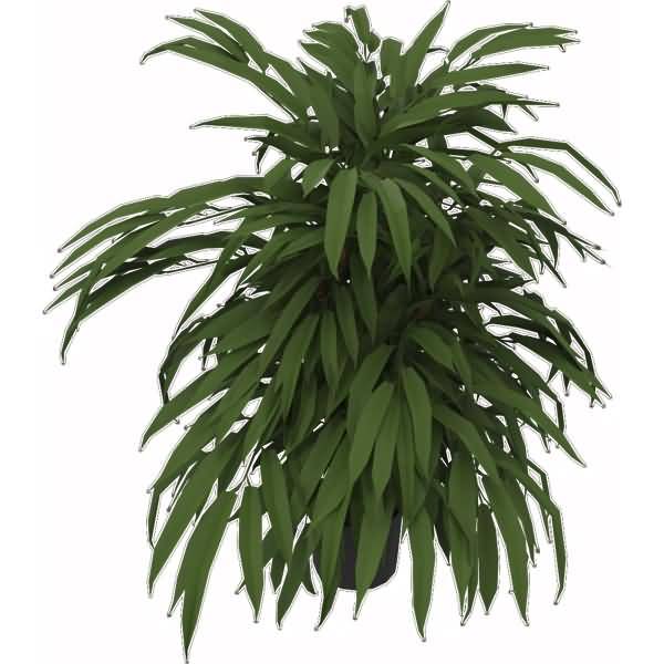 Kunstpflanze Ficus 360 Blatt Höhe 800mm Kunststofftopf