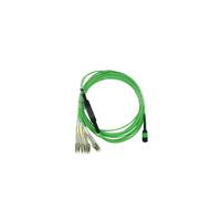BLUEOPTICS - LWL MPO/4xLC Breakout Kabel OM5 5 Meter