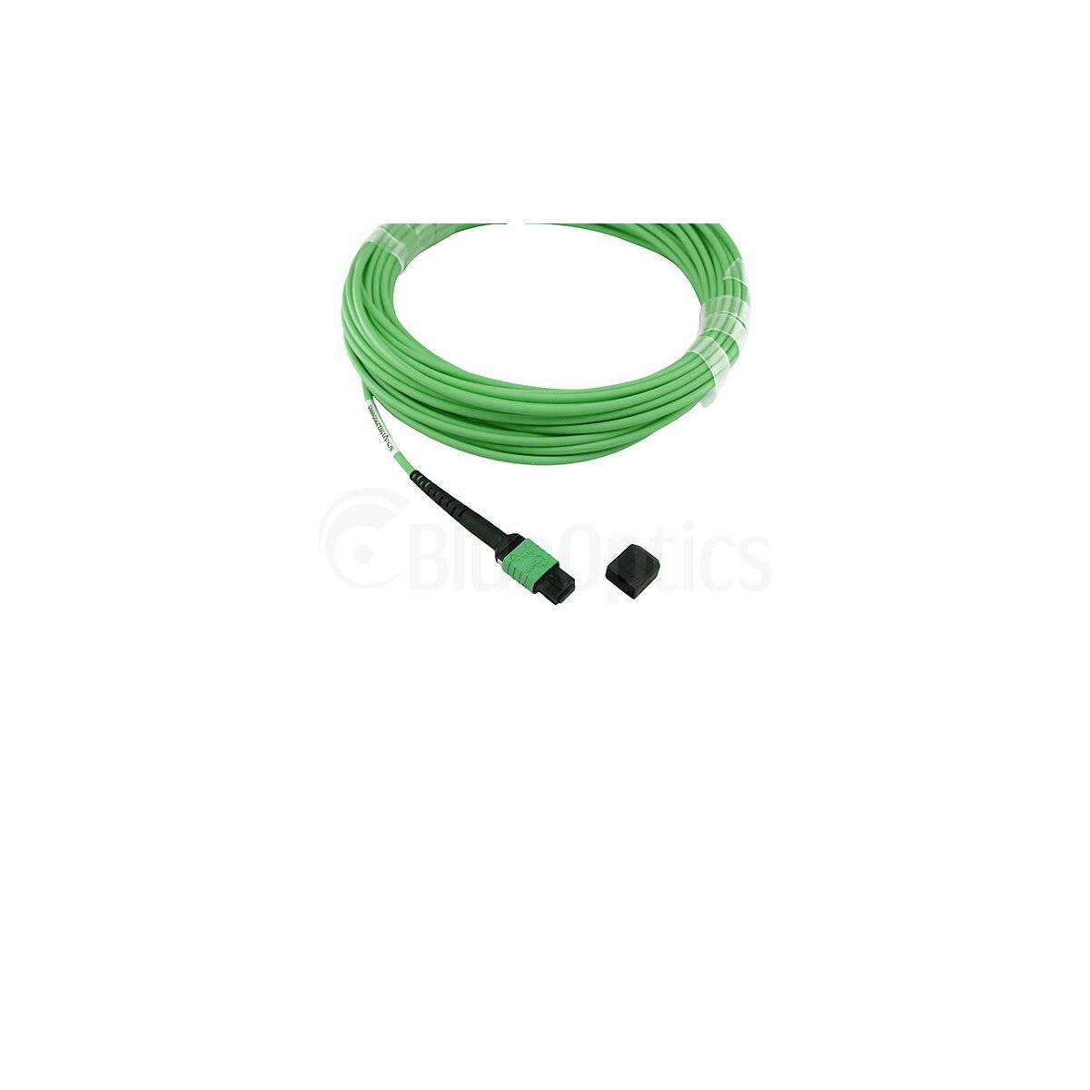 Aufgerolltes grünes Glasfaserkabel mit Stecker und Schutzkappe auf weißem Hintergrund.