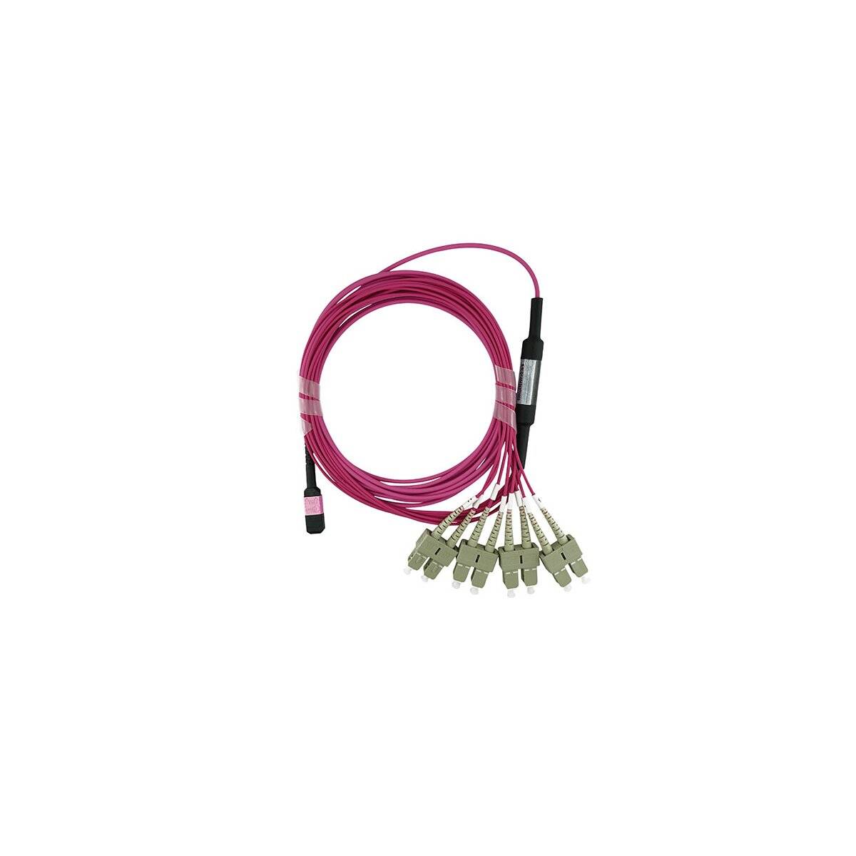 BLUEOPTICS - LWL MTP/4xSC Breakout Kabel OM4 5 Meter