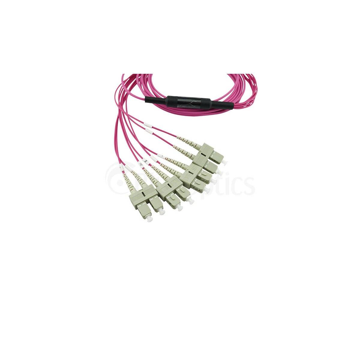 BlueOptics LWL MTP/4xSC Breakout Kabel OM4 3 Meter