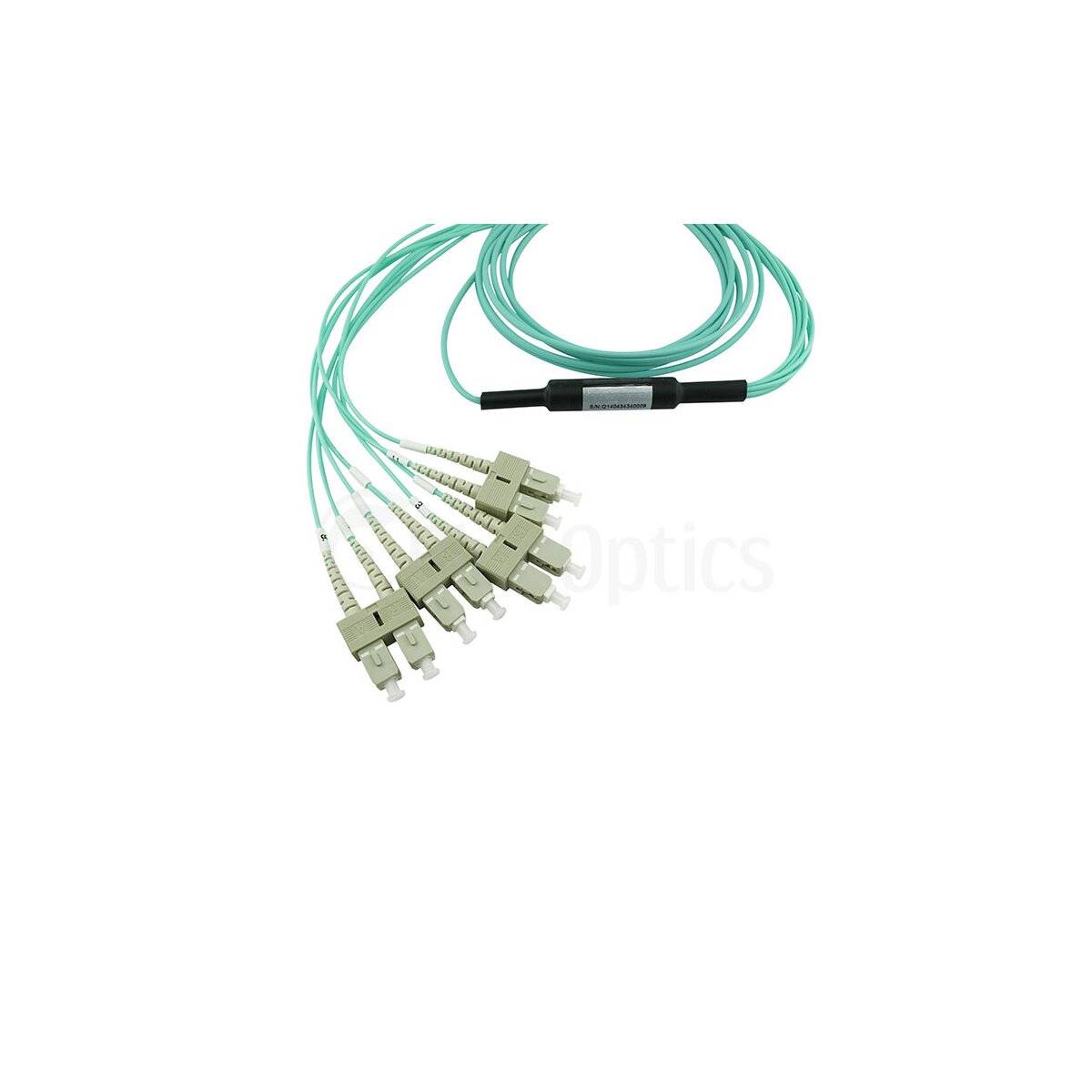 BlueOptics LWL MPO/4xSC Breakout Kabel OM3 5 Meter