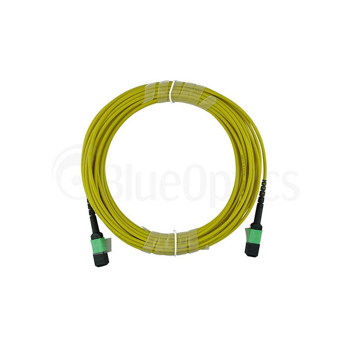 BlueOptics LWL MPO Trunkkabel Singlemode 12 Kerne 5 Meter Typ B
