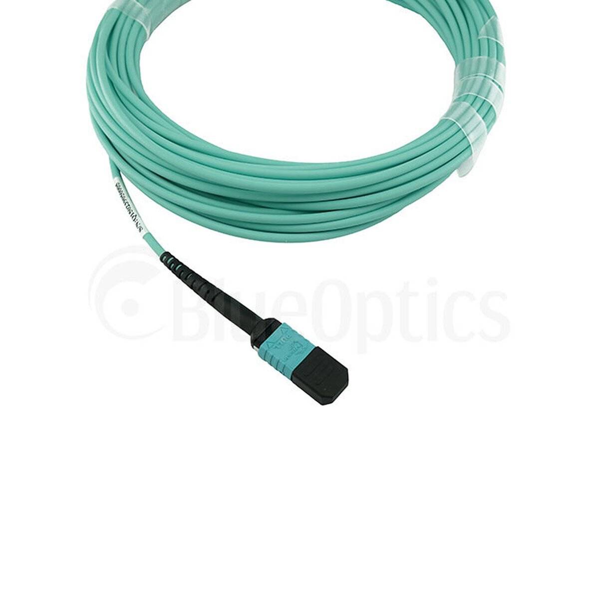BLUEOPTICS - LWL MPO Trunkkabel OM3 12 Kerne 30 Meter Typ B