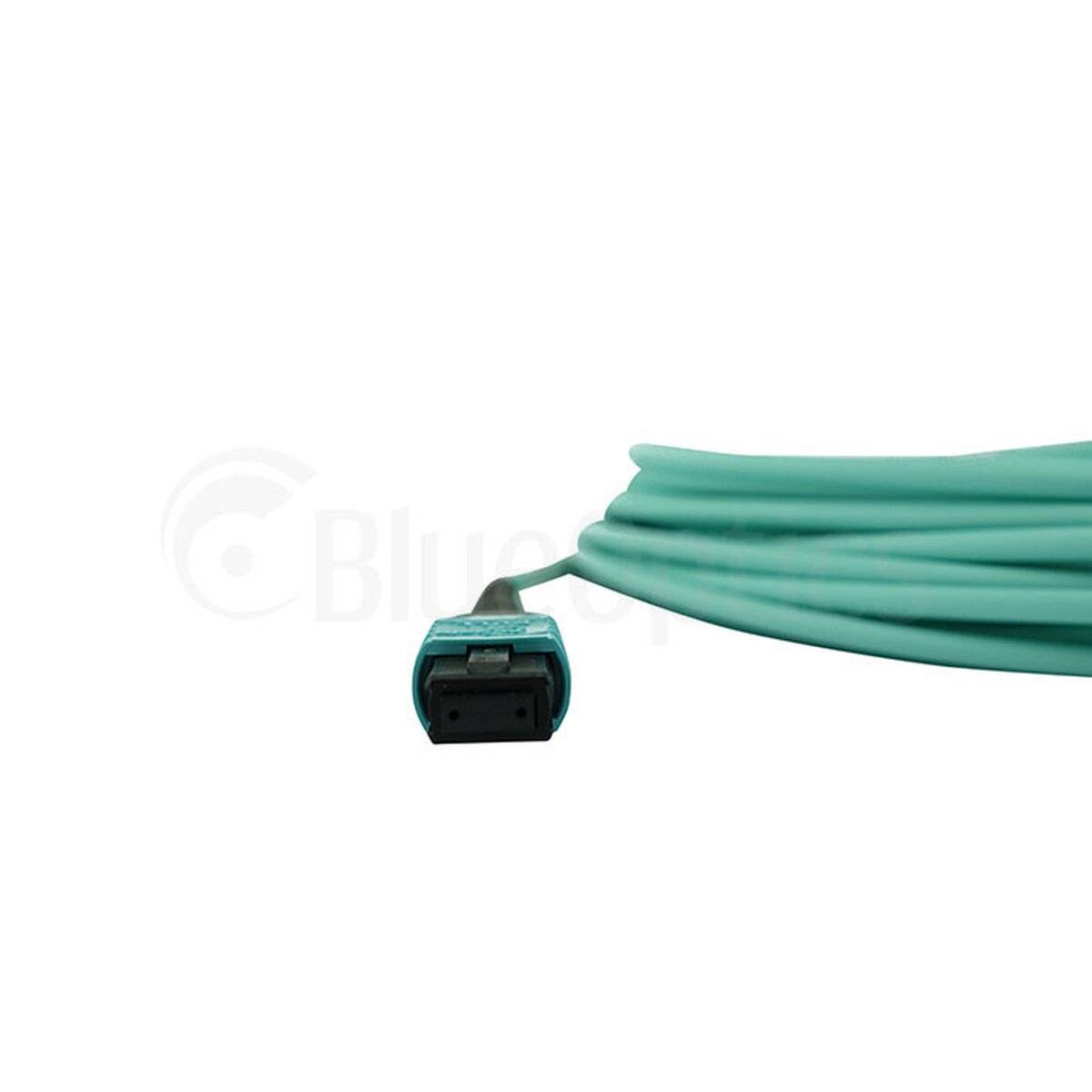 BLUEOPTICS - LWL MPO Trunkkabel OM3 12 Kerne 30 Meter Typ B