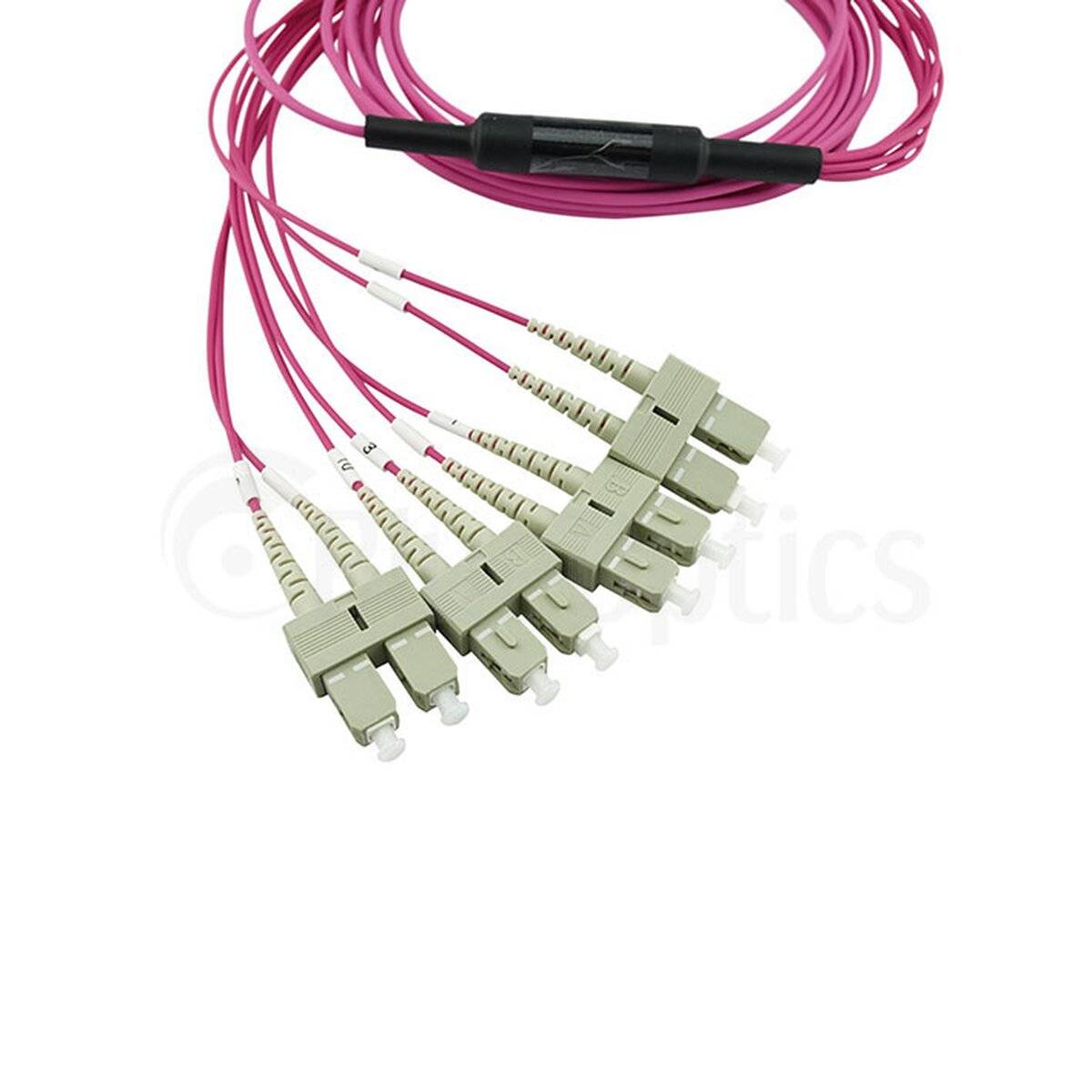BLUEOPTICS - LWL MTP/4xSC Breakout Kabel OM4 2 Meter