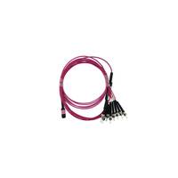 BLUEOPTICS - LWL MTP/4xST Breakout Kabel OM4 1 Meter