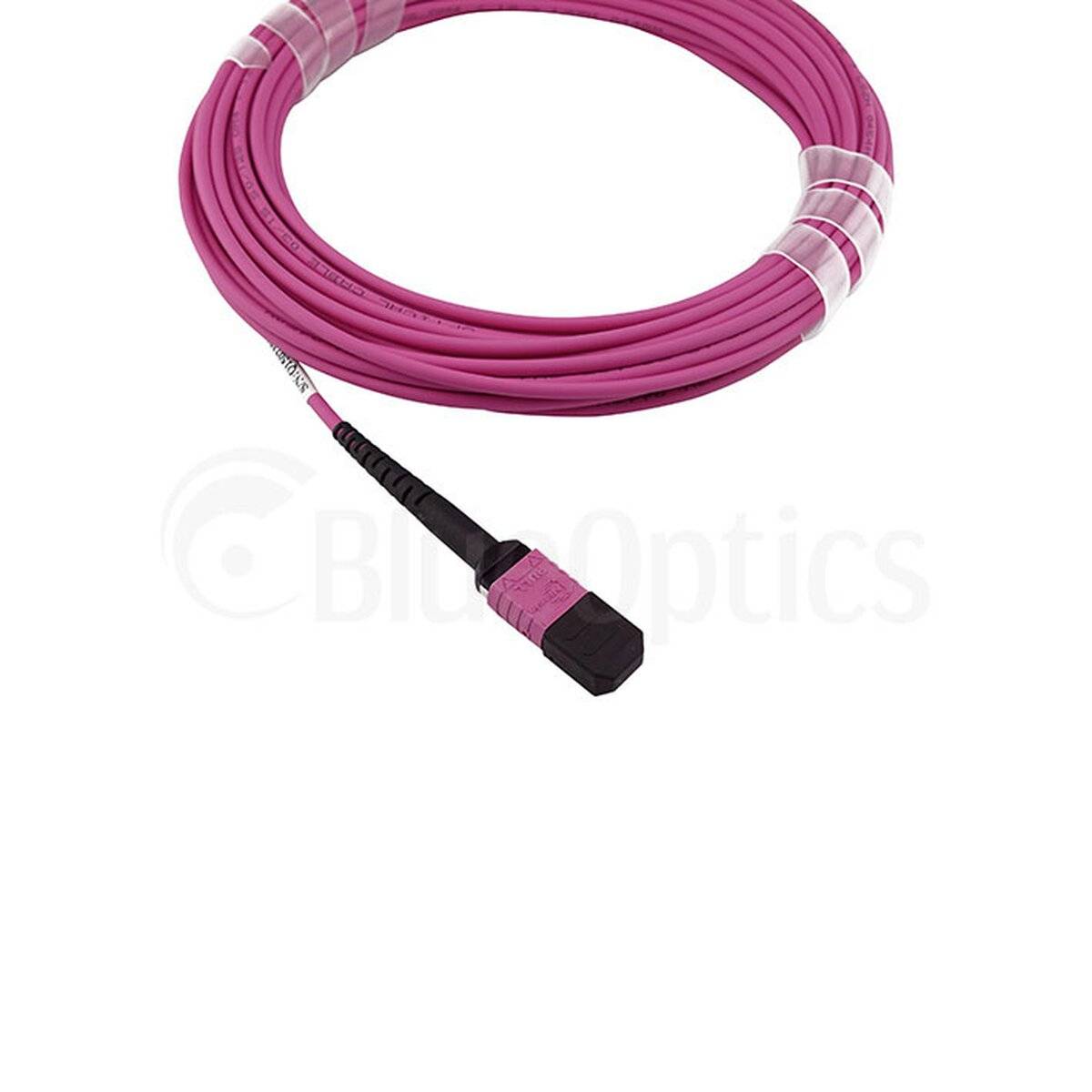 BLUEOPTICS - LWL MTP Trunkkabel OM4 12 Kerne 50 Meter Typ B