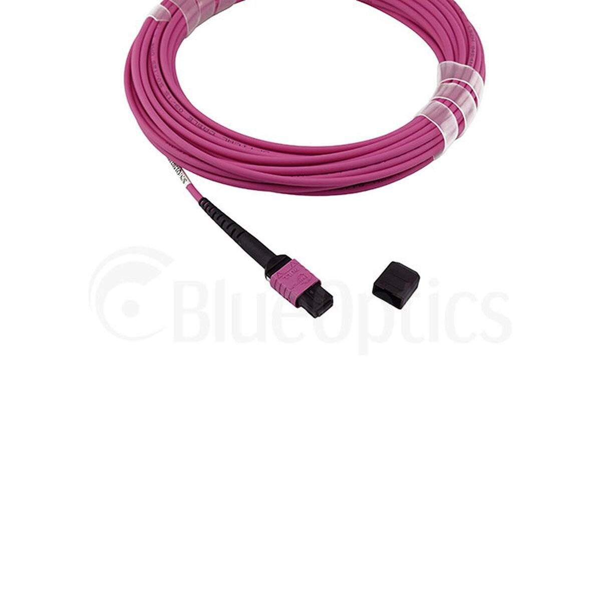 BLUEOPTICS - LWL MTP Trunkkabel OM4 12 Kerne 50 Meter Typ B