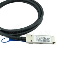 Mellanox MCP1650-V002E26 kompatibles BlueLAN DAC QSFP56 BL070701W2M30 Mellanox MCP1650-V002E26 kompatibles BlueLAN DAC QSFP56 BL070701W2M30