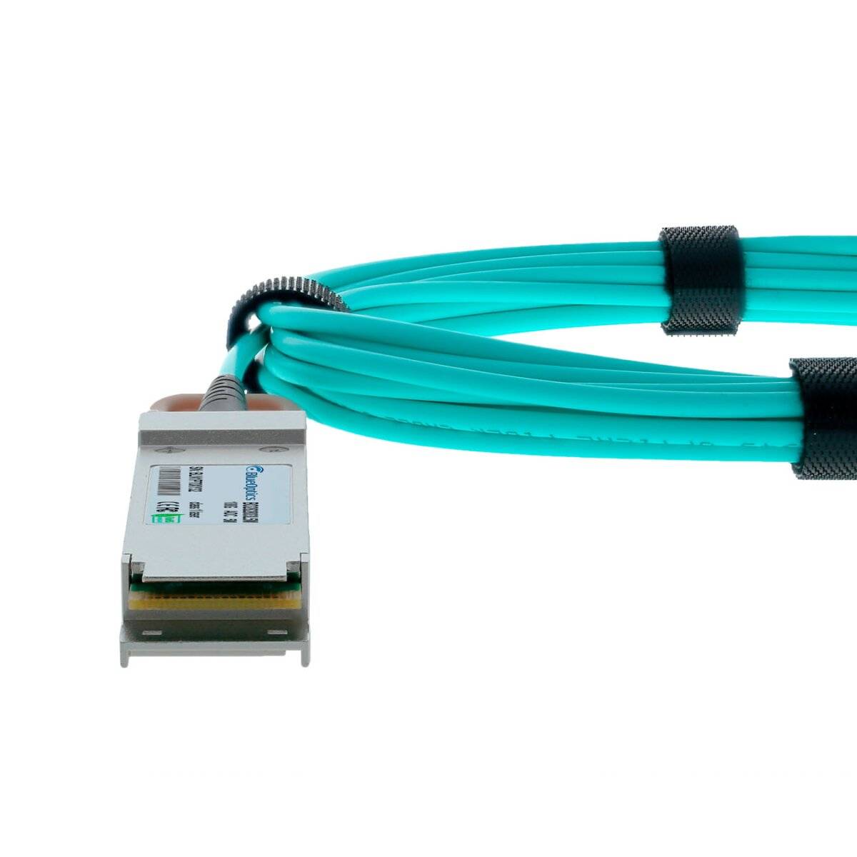 Faseroptisches Transceiver-Modul verbunden mit einem gebündelten türkisfarbenen Kabel auf weißem Hintergrund.