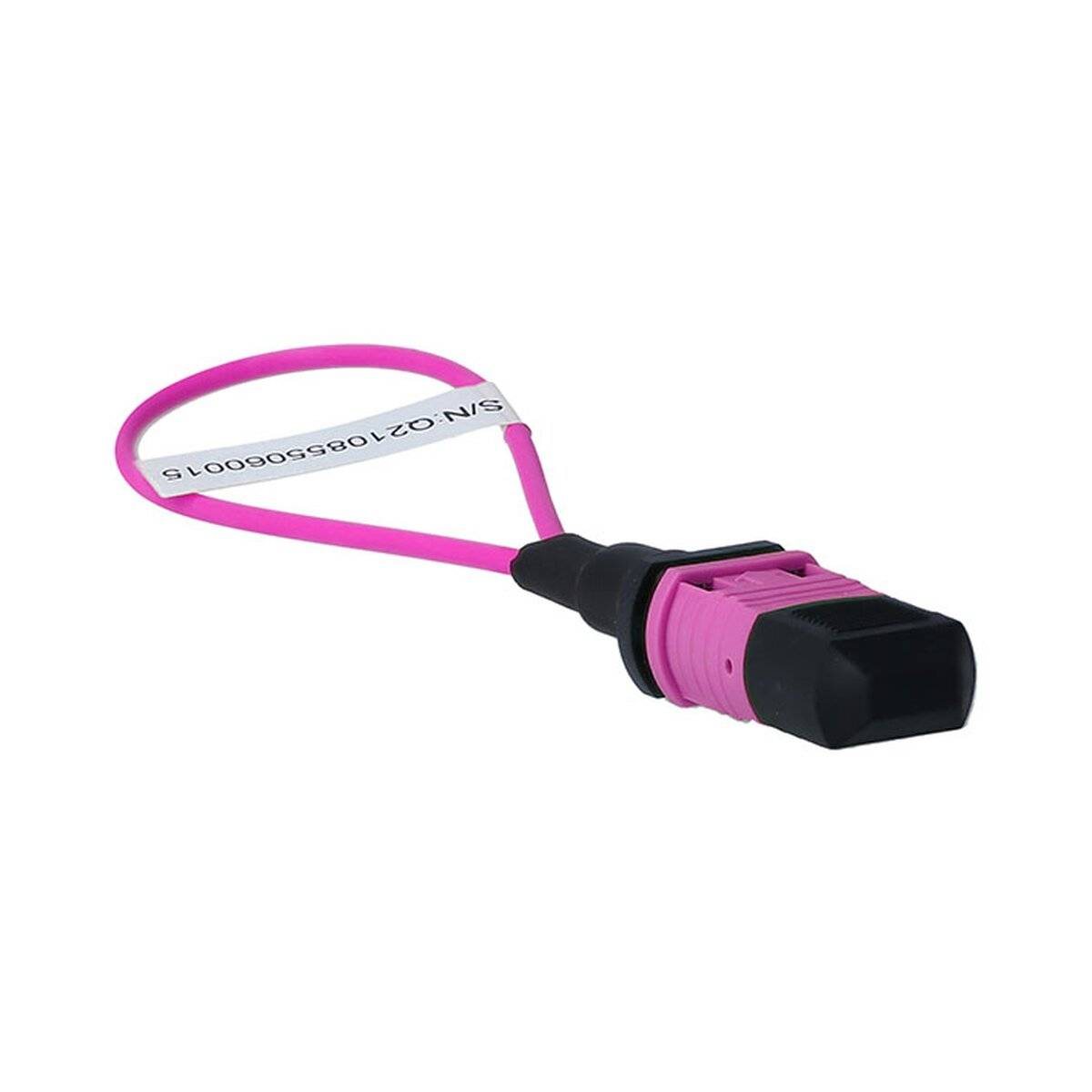 BlueOptics Loopback Adapter MPO/MTP Multimode OM4