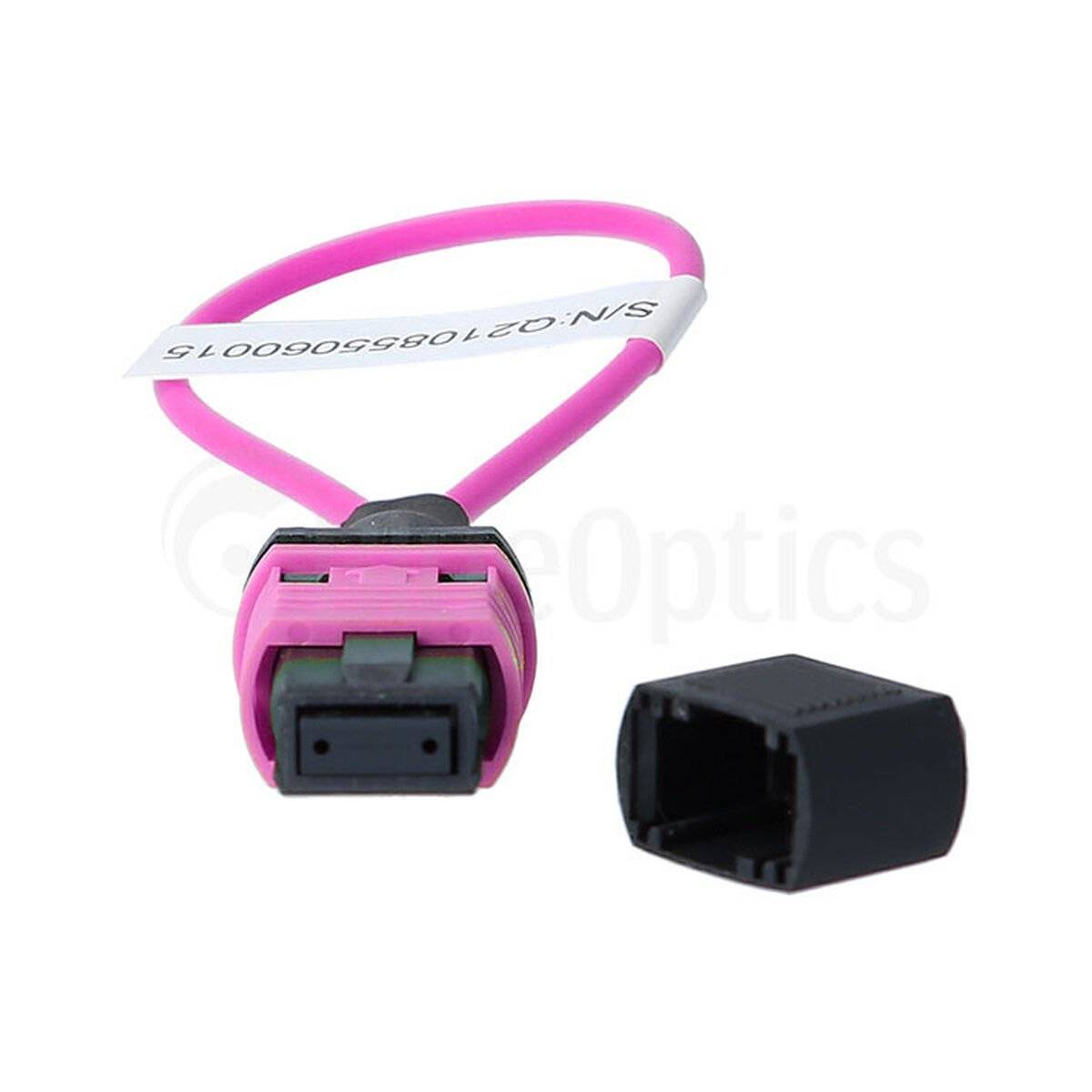 BlueOptics Loopback Adapter MPO/MTP Multimode OM4