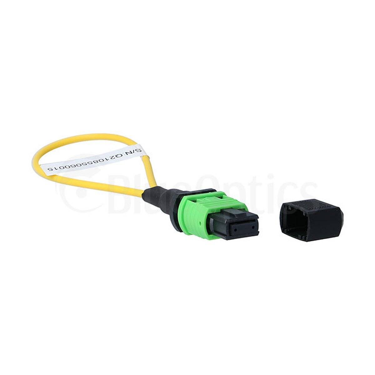 BlueOptics Loopback Adapter MPO/MTP Singlemode SM