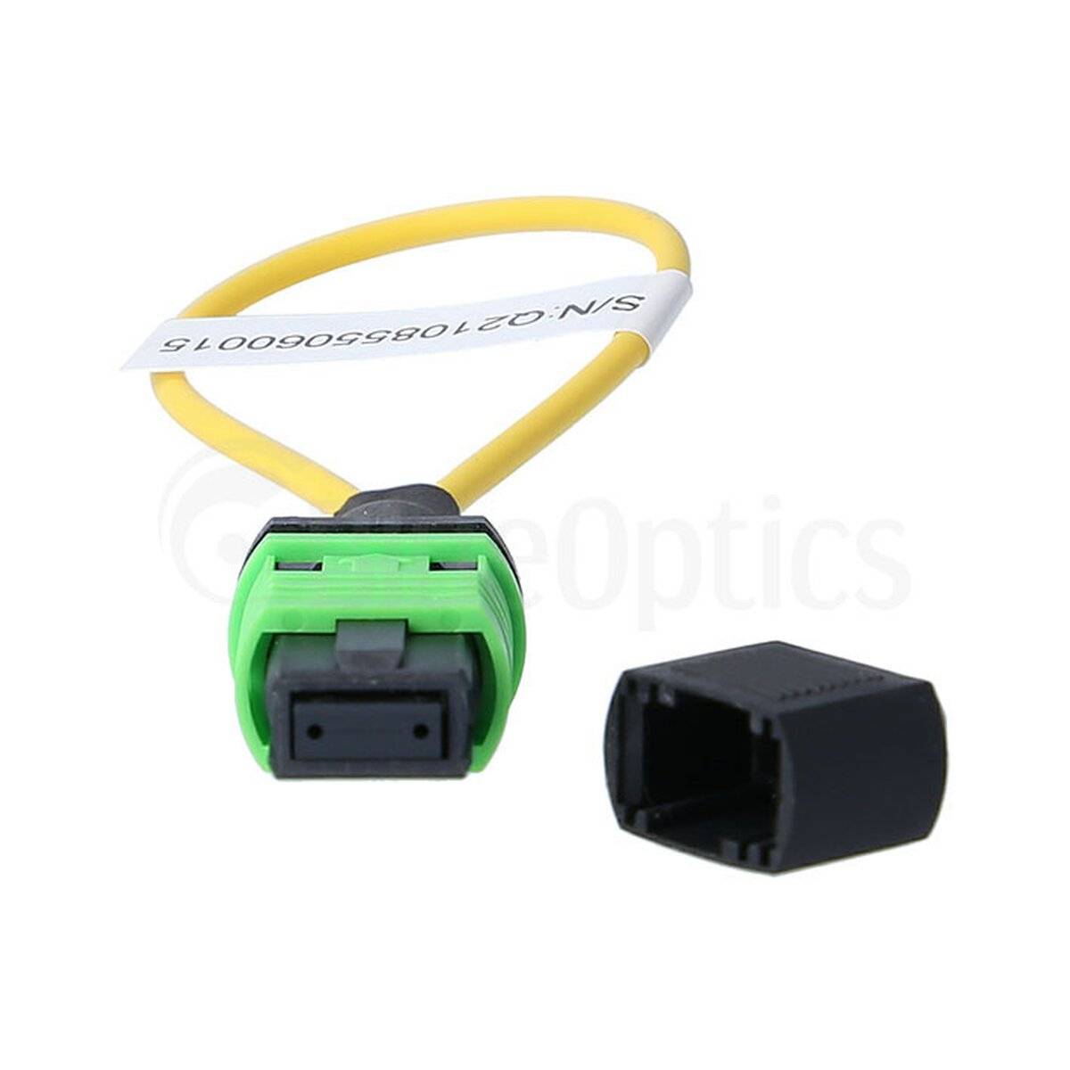 BlueOptics Loopback Adapter MPO/MTP Singlemode SM