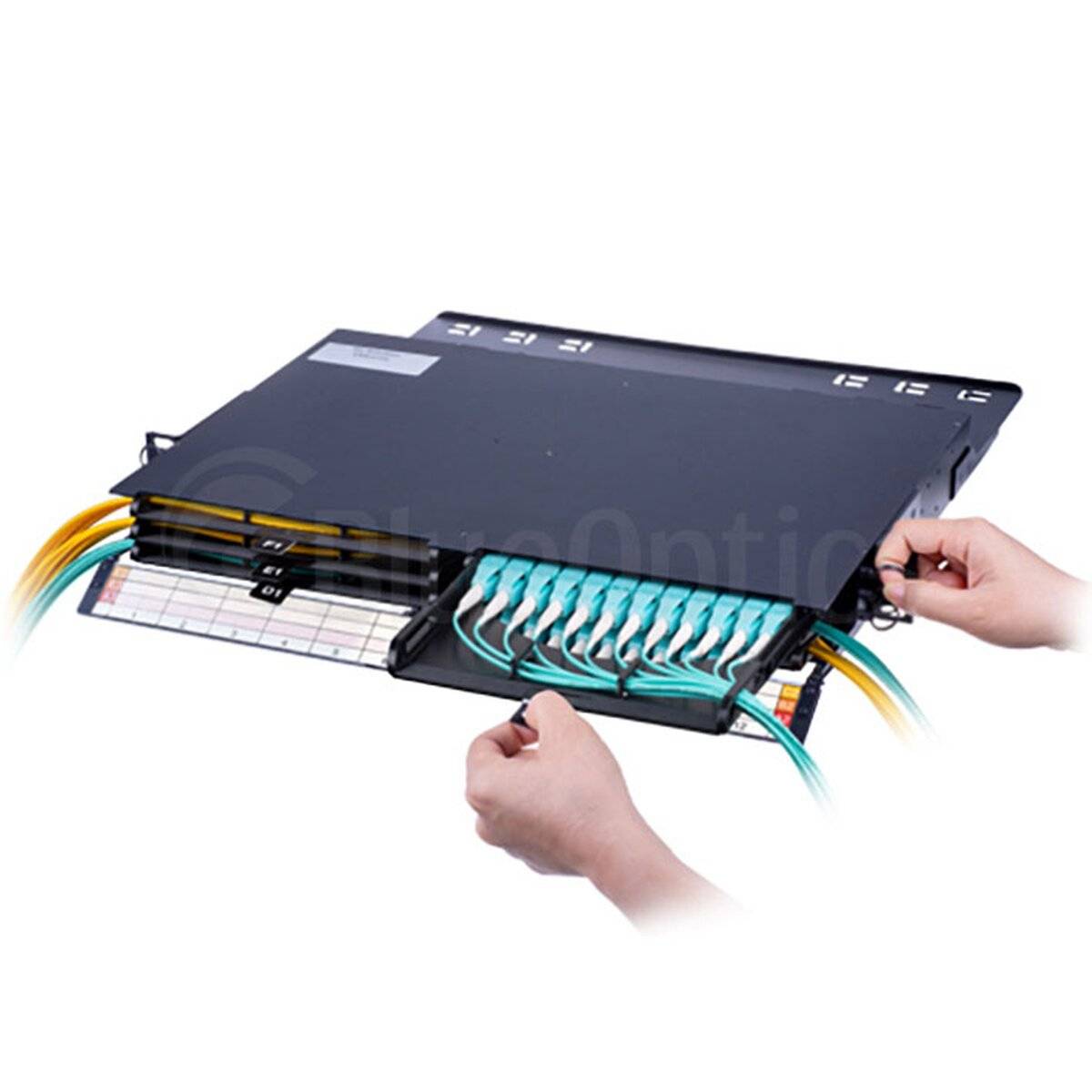 MPO/MTP Chassis 1HE - (F�r 6 Kassetten)