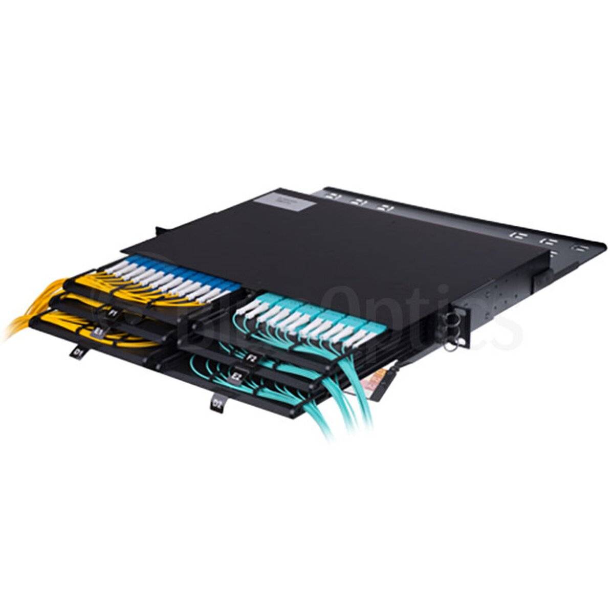 MPO/MTP Chassis 1HE - (F�r 6 Kassetten)