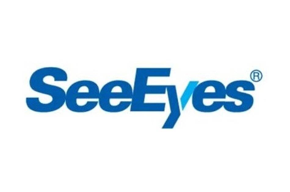 SeeEyes SC BATTERY LARGE, Akku für Multiformat SeeEyes Servicemonitor, groß, Ersatzteil ab 08/17