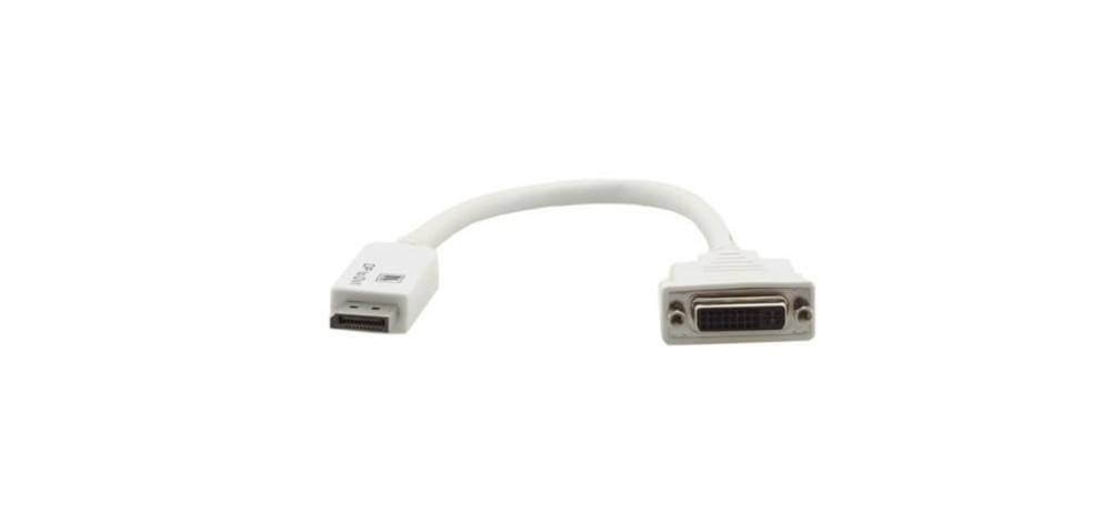 Ein weißes DisplayPort-zu-DVI-Adapterkabel, das den DisplayPort-Anschluss links und den DVI-Anschluss rechts zeigt.