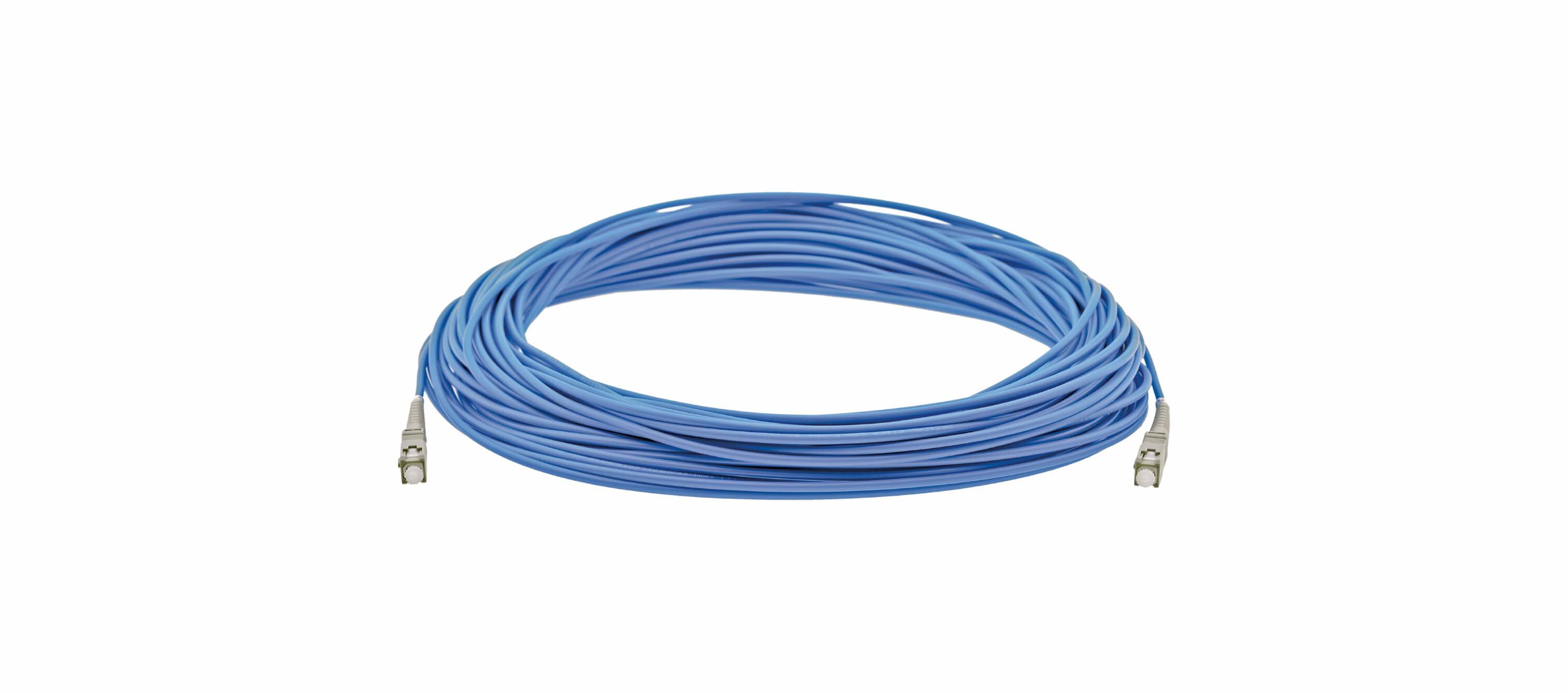 Aufgerolltes blaues Ethernet-Netzwerkkabel mit Steckern an beiden Enden.