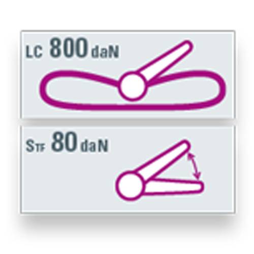 SAFETEX Zurrgurt "Blackline" mit Druckratsche (WLL 800kg | 1-teilig | 25,0mm Bandbreite | Länge 6,00m) - schwarz