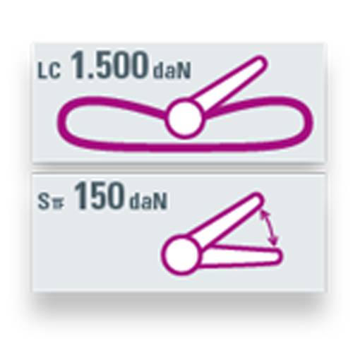 SAFETEX Zurrgurt "Blackline" mit Druckratsche (WLL 1.500kg | 1-teilig | 25,0mm Bandbreite | Länge 6,00m) - schwarz