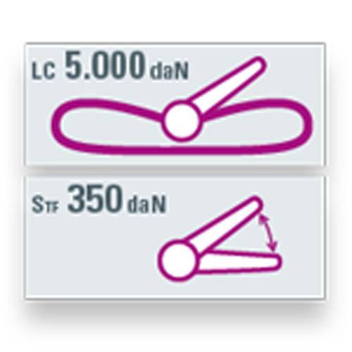 SAFETEX Zurrgurt "Blackline" mit Druckratsche (WLL 5.000kg | 1-teilig | 50,0mm Bandbreite | Länge 6,00m) - schwarz