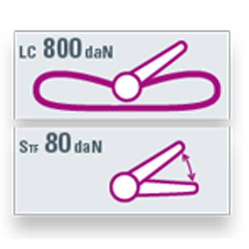 SAFETEX Zurrgurt "Blackline" mit Druckratsche (WLL 800kg | 1-teilig | 25,0mm Bandbreite | Länge 2,00m) - schwarz