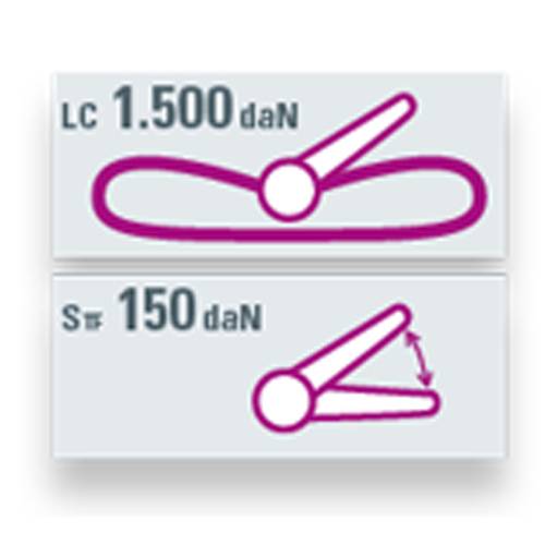 SAFETEX Zurrgurt "Blackline" mit Druckratsche (WLL 1.500kg | 1-teilig | 25,0mm Bandbreite | Länge 2,00m) - schwarz