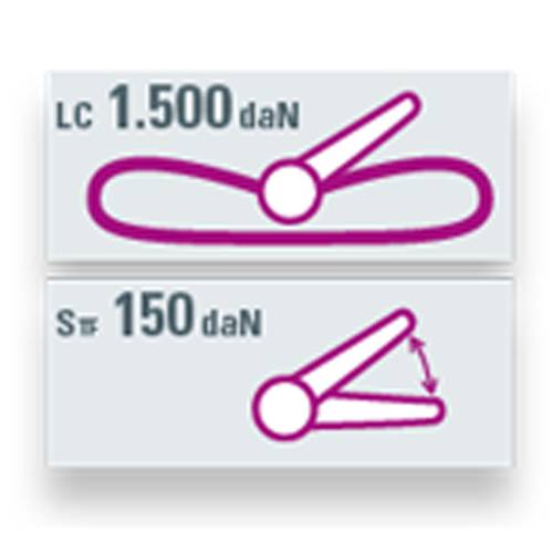 SAFETEX Zurrgurt "Blackline" mit Druckratsche (WLL 1.500kg | 1-teilig | 25,0mm Bandbreite | Länge 4,00m) - schwarz