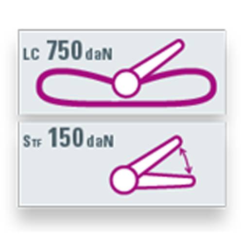 SAFETEX Zurrgurt "Blackline" mit Druckratsche & Karabinerhaken flach (WLL 750kg | 2-teilig | 25,0mm Bandbreite | Länge
