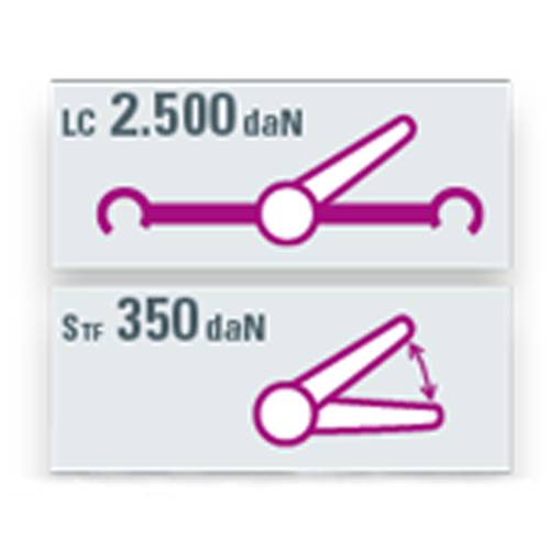 SAFETEX Zurrgurt "Blackline" mit Druckratsche & Karabinerhaken mit Triangel (WLL 2.500kg | 2-teilig | 50,0mm Bandbreite