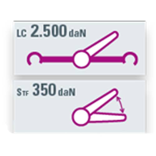 SAFETEX Zurrgurt "Blackline" mit Druckratsche & Karabinerhaken mit Triangel (WLL 2.500kg | 2-teilig | 50,0mm Bandbreite