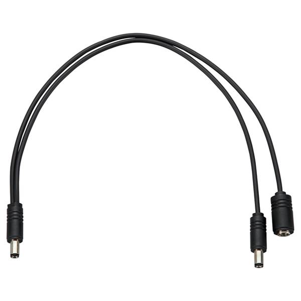 ROLAND FS-7 - BOSS Doppel-Fußschalter (2x Fußpedale in einem Gehäuse | 6,3mm Mono-Klinkenbuchse) - schwarz/silber