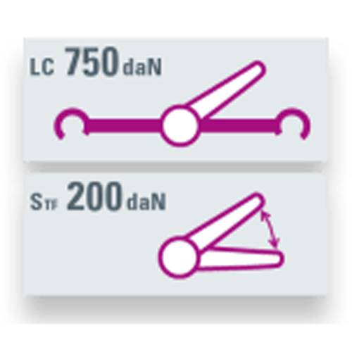 SAFETEX Zurrgurt "Blackline" mit Druckratsche & Bodenschienenanker (WLL 750kg | 2-teilig | 25,0mm Bandbreite | Länge